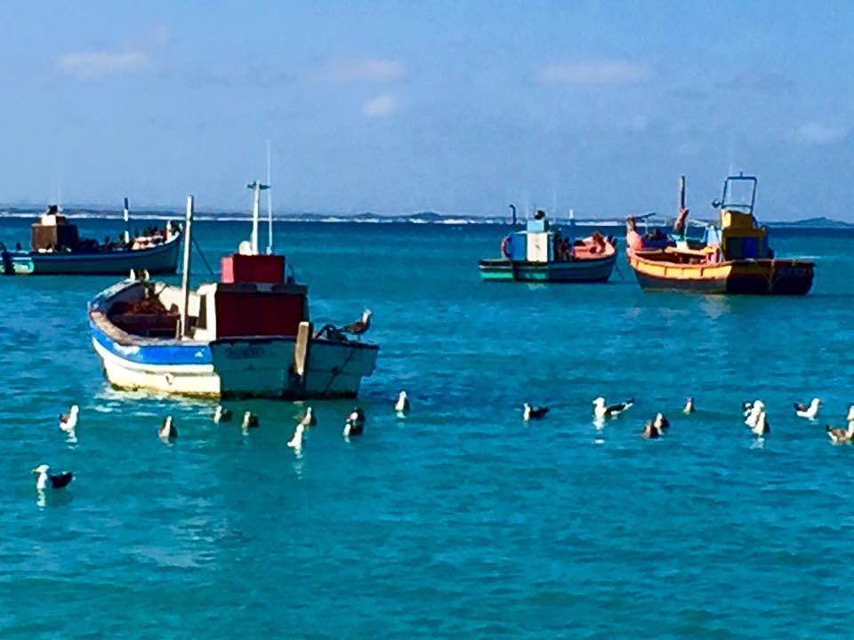 The Goose Nest Apartment Struisbaai Exterior foto